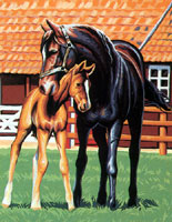 Le Haras