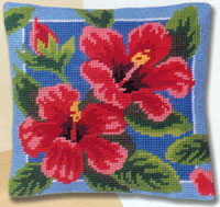 Hibiscus