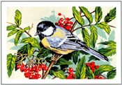 SEG de Paris - Small Canvases - Mesange (Titmouse) Canvas