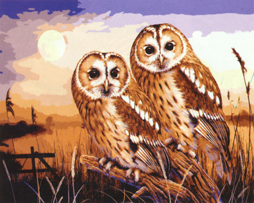 Two Owls  - Collection d'Art Needlepoint Canvas