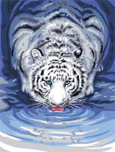 White Tiger Drinking  - Collection d'Art Needlepoint Canvas