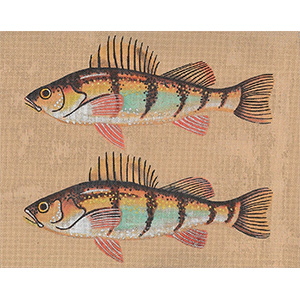 Leigh Designs - Hand-painted Needlepoint Canvases - Yellow Perch Canvas