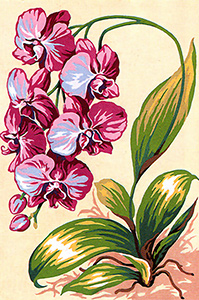 SEG de Paris Needlepoint - Orchids Canvas