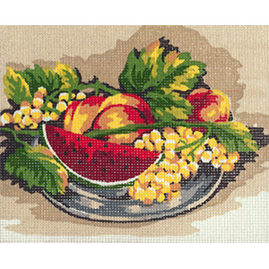 Summer Fruit Plate- Collection d'Art Needlepoint Canvas